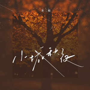 Listen to 小城秋夜 (和声伴奏) song with lyrics from 茶二娘