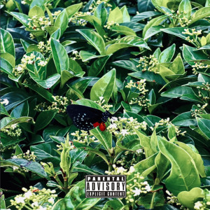 Listen to Butterflies (Explicit) song with lyrics from Zuko