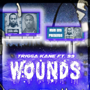 Listen to Wounds (Explicit) song with lyrics from Trigga Kane