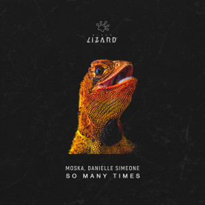 Album So Many Times (Radio edit) from 