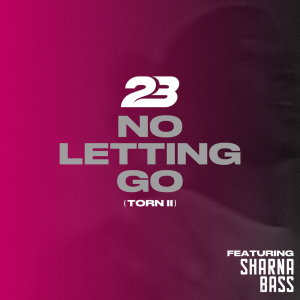 Album No Letting Go (Torn 2) (Explicit) from Sharna Bass