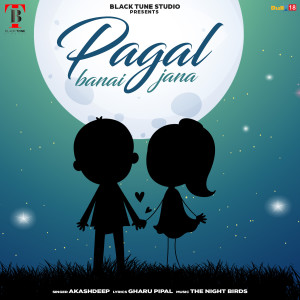ดาวน์โหลดและฟังเพลง PAGAL BANAI JANA พร้อมเนื้อเพลงจาก Akashdeep
