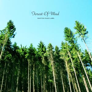 Forest Of Wind