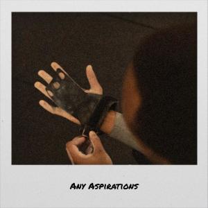 Album Any Aspirations from Various