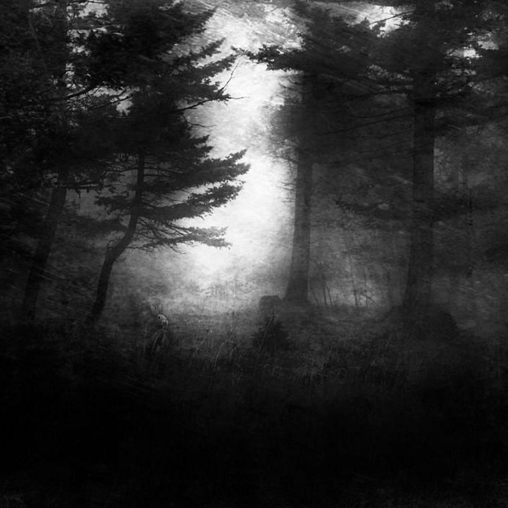 Desolation
