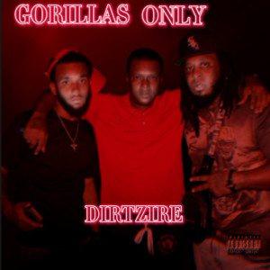 Listen to Gorillaz Only (Explicit) song with lyrics from Dirtzire