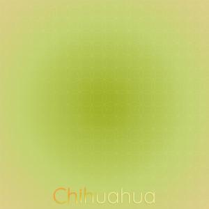 Album Chihuahua from Various