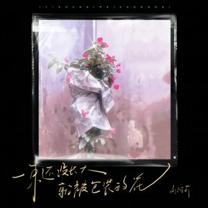 Album 一束还没长大就被包装的花 from 刘阿莉