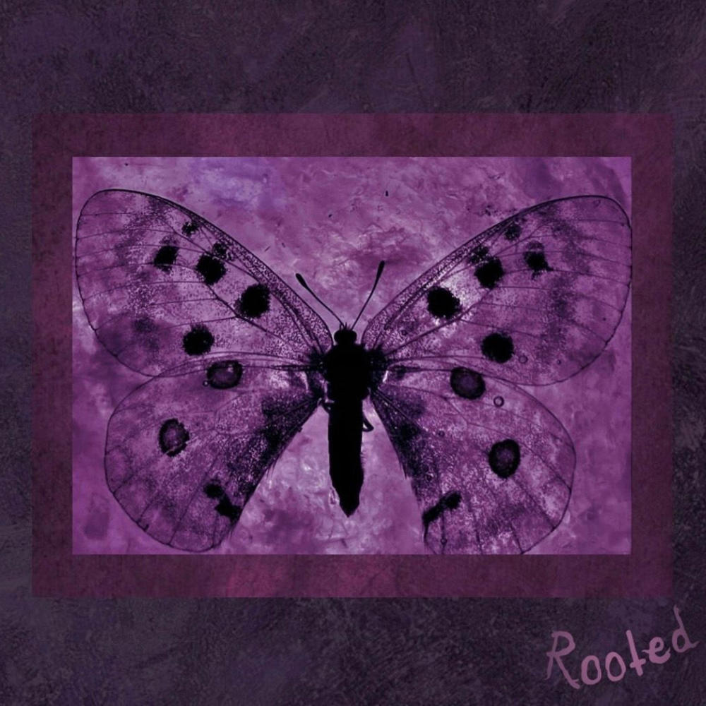 Moth Song