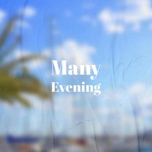 Various的专辑Many Evening