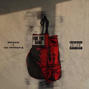 Album For The Gang (feat. CC Omerta) (Explicit) oleh Shard