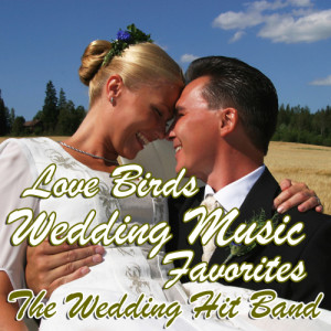 收聽The Wedding Hit Band的Sea Of Love歌詞歌曲