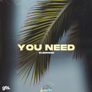 Listen to You Need song with lyrics from Subriser
