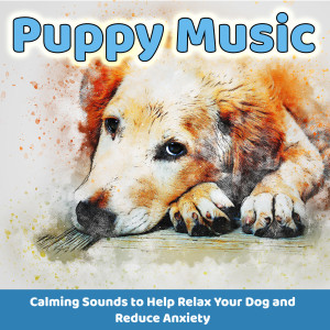 Dengarkan Dog Music lagu dari Dog Music Dreams dengan lirik