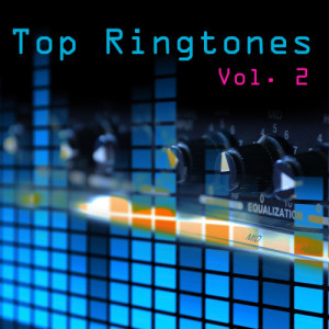 ดาวน์โหลดและฟังเพลง Speak Now (Made Famous by Taylor Swift) พร้อมเนื้อเพลงจาก Ringtone Masters