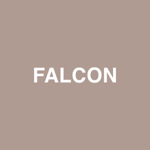 收聽Jaden Smith的Falcon歌詞歌曲