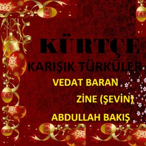 Album Karışık Kürtçe Türküler from Sevin