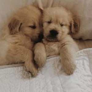 收聽Jaira的…yawns, sleep well, dummy :)歌詞歌曲