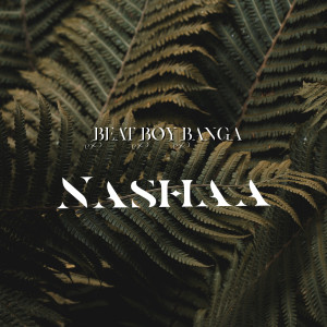 ดาวน์โหลดและฟังเพลง Nashaa พร้อมเนื้อเพลงจาก Beat Boy Banga