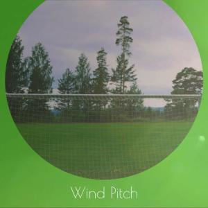 Various Artists的專輯Wind Pitch