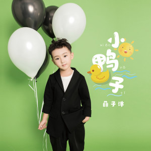 收聽薛子洋的小鴨子歌詞歌曲