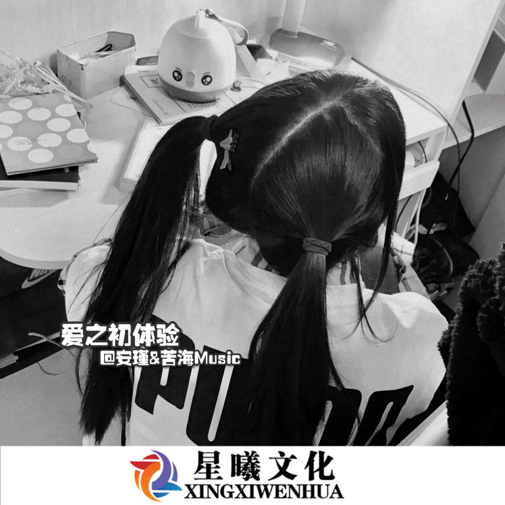 凉州词 (DJ版)