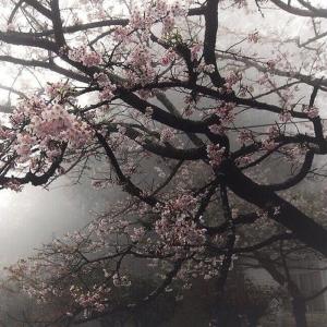 收聽vision的boa duvet lain歌詞歌曲