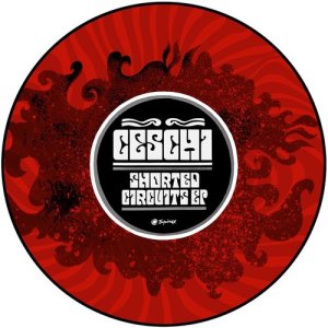 ดาวน์โหลดและฟังเพลง Shorted Circuits พร้อมเนื้อเพลงจาก Ceschi