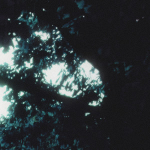 Album wind static from Elicit