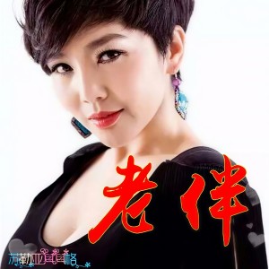 收聽蘇勒亞其其格的老伴歌詞歌曲