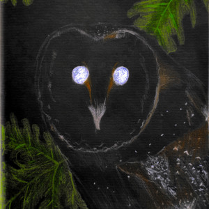 Album The Disillusion Hill from Louka