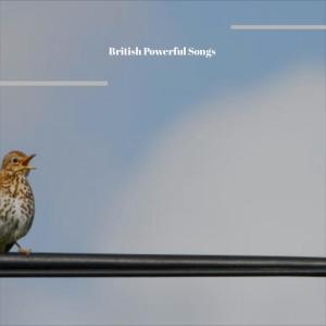 อัลบัม British Powerful Songs ศิลปิน Various Artists