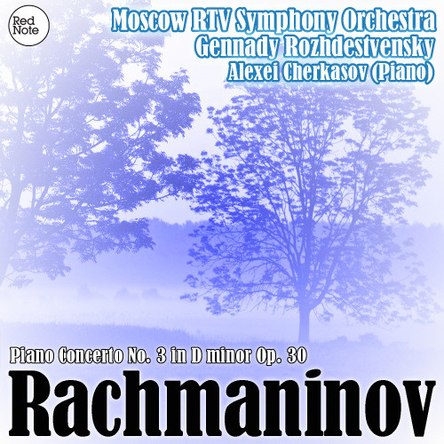 Piano Concerto No. 3 in D minor, Op. 30: III. Finale: Alla breve