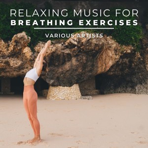 Dengarkan lagu Sleepy Relaxation Ocean Sounds nyanyian Wavezze dengan lirik