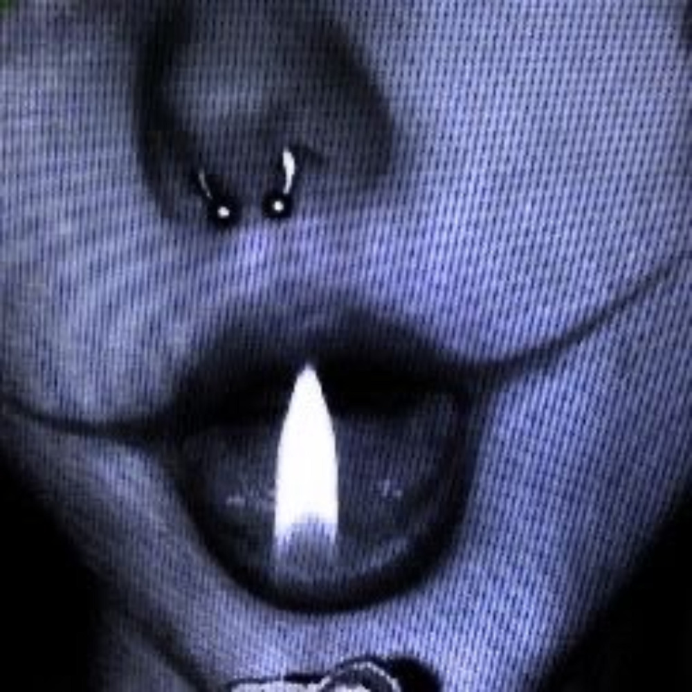 LEASH (Explicit)