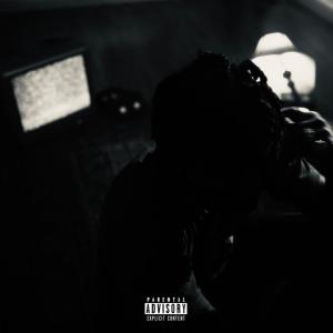 Falls的專輯C'EST LA VIE' (Explicit)