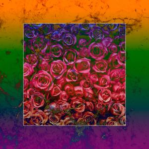 收聽Georgy的Roser歌詞歌曲