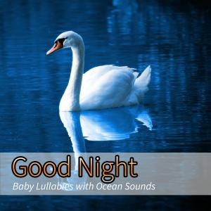 Listen to Classical Piano Music for Sleeping Baby (Nature Sounds Version) song with lyrics from Sleeping Baby Songs