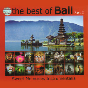 Album The Best of Bali, Pt. 2 from I Gusti Sudarsana