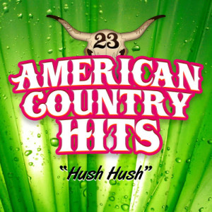 ดาวน์โหลดและฟังเพลง Hush Hush พร้อมเนื้อเพลงจาก American Country Hits