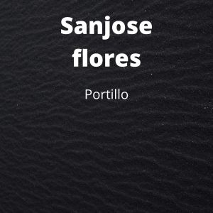 收听Portillo的Ronpe歌词歌曲