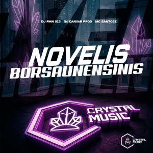 收听DJ FMN 013的NOVELIS BORSAUNENSINIS (Explicit)歌词歌曲