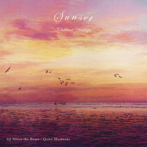 Listen to Quiet Moments song with lyrics from DJ MITSU THE BEATS