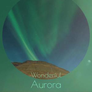 Album Wonderful Aurora from Various