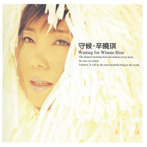 ดาวน์โหลดและฟังเพลง 走過 พร้อมเนื้อเพลงจาก 辛晓琪