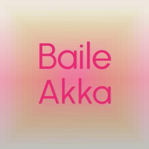 Various的专辑Baile Akka