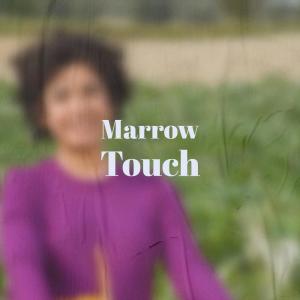 Listen to Whatever Evening song with lyrics from Leera Seer