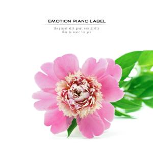 ดาวน์โหลดและฟังเพลง A forest of hearts พร้อมเนื้อเพลงจาก Korean Various Artists