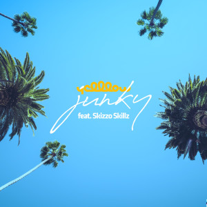 YellLow的專輯Junky (Skizzo Skillz Version)