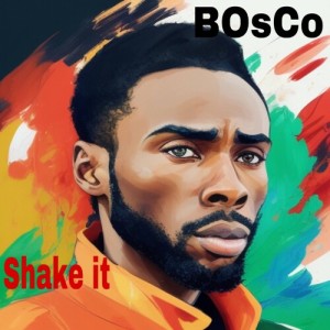 Album Shake It from 